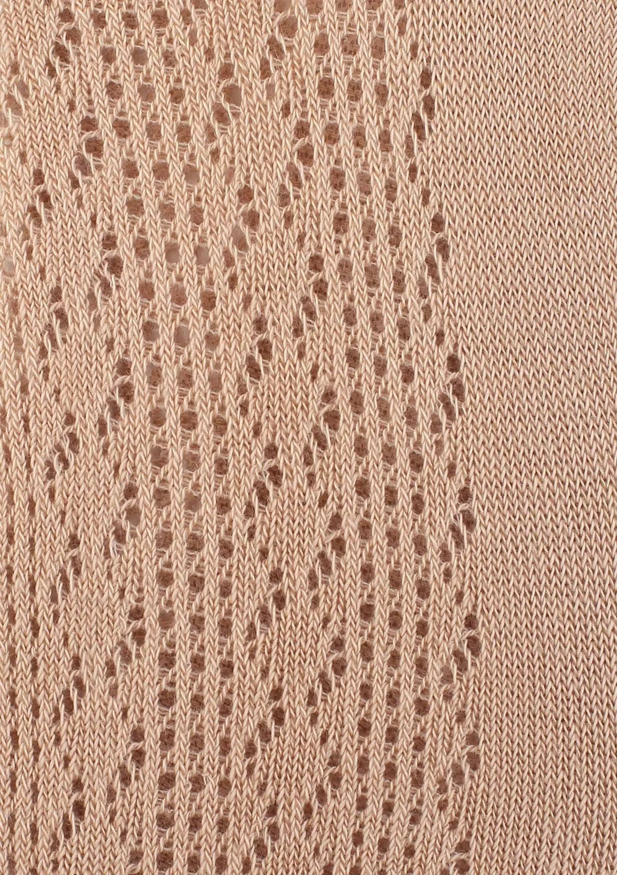 Visone