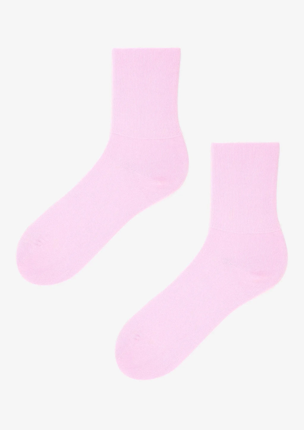 Antracyt