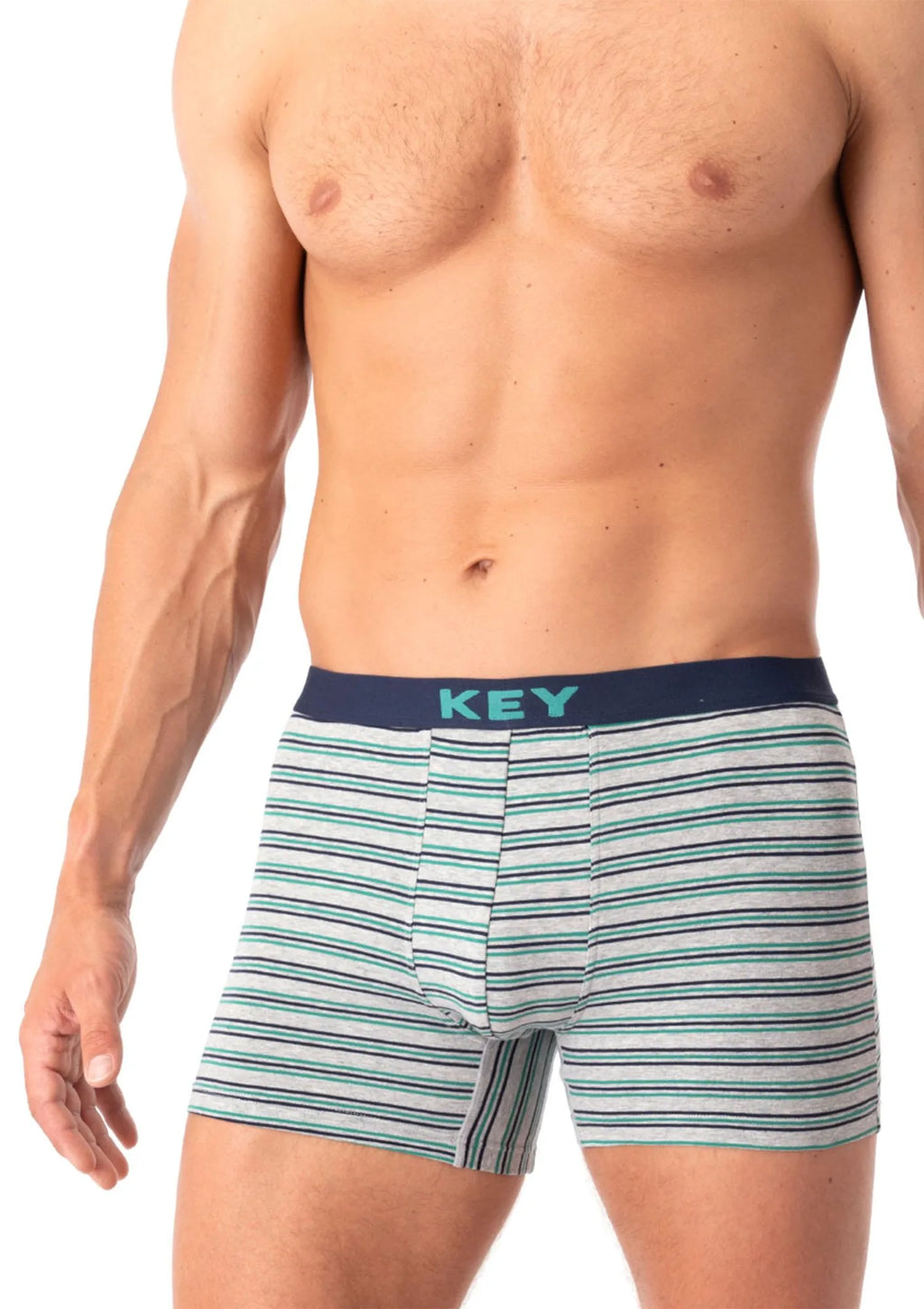 Bokserki męskie szare w paski z logowaną gumą MHX 322 Key