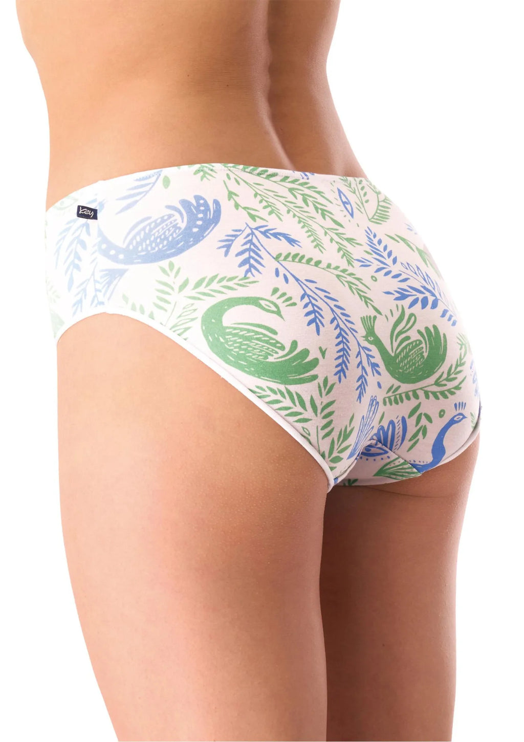 Figi damskie bambusowe (2pack) w subtelny kwiatowy wzór LPC 556 Key