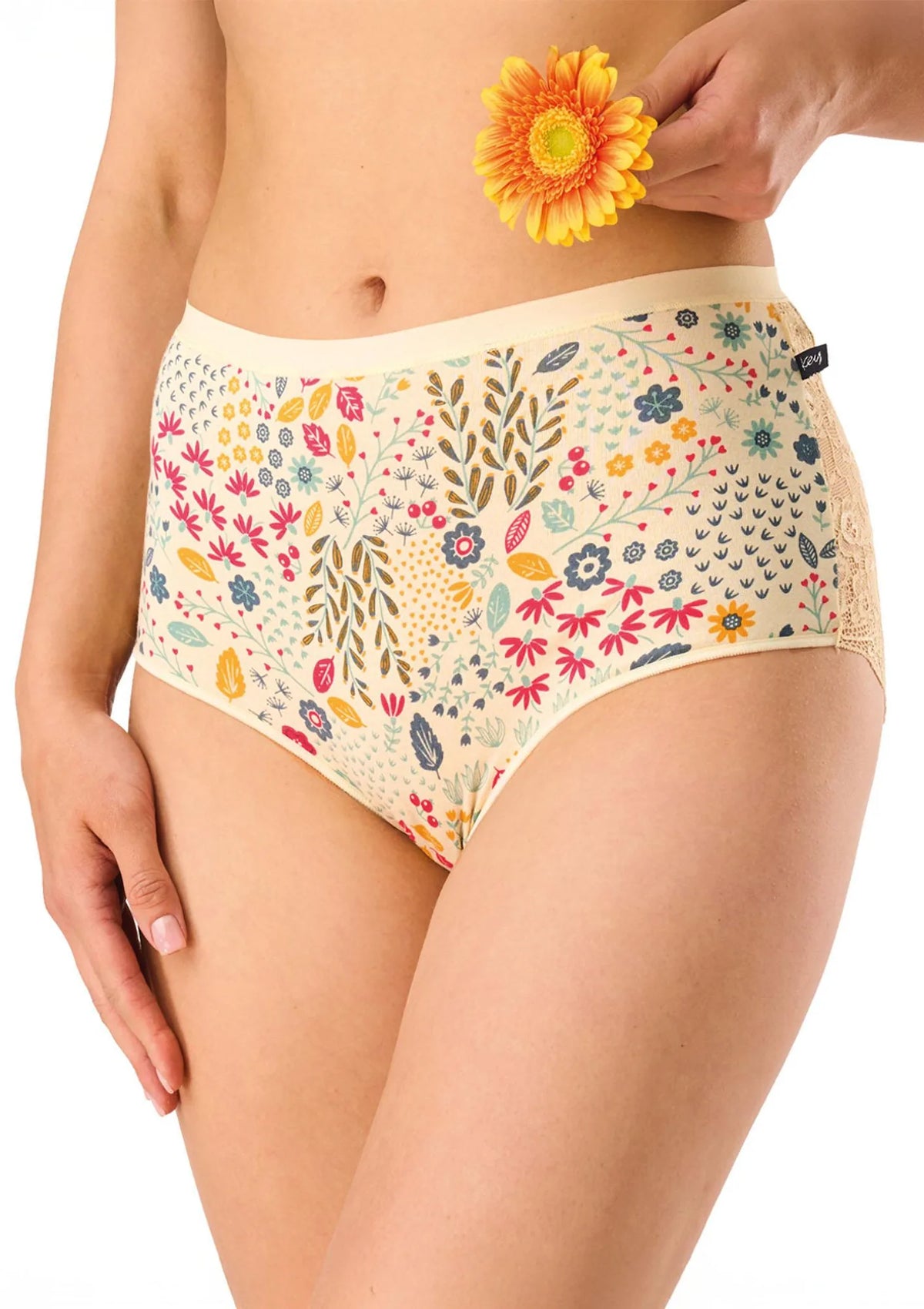 Figi damskie bawełniane (2pack) maxi z koronką LPF 570 Key