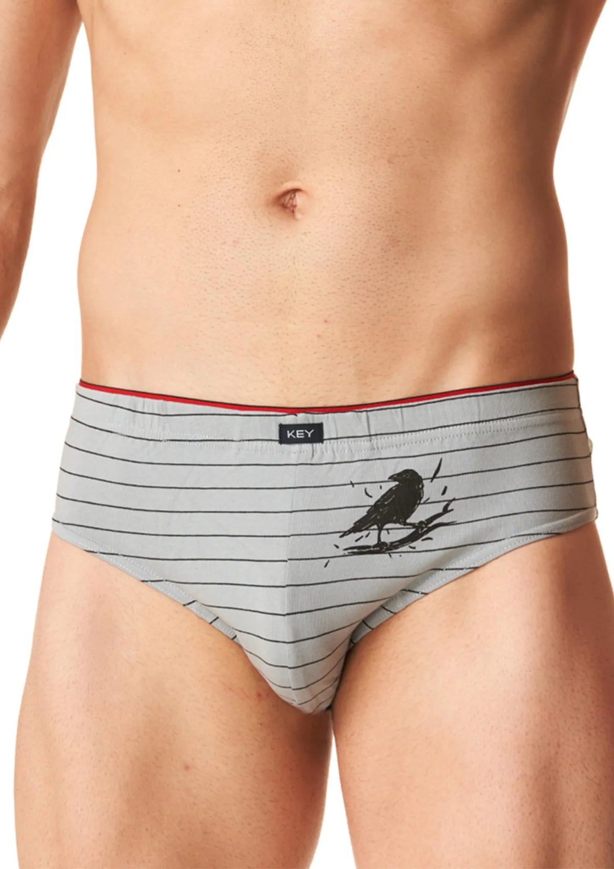 Slipy męskie bawełniane (2 pack) jasne i ciemne w delikatny wzór MPP 400 Key