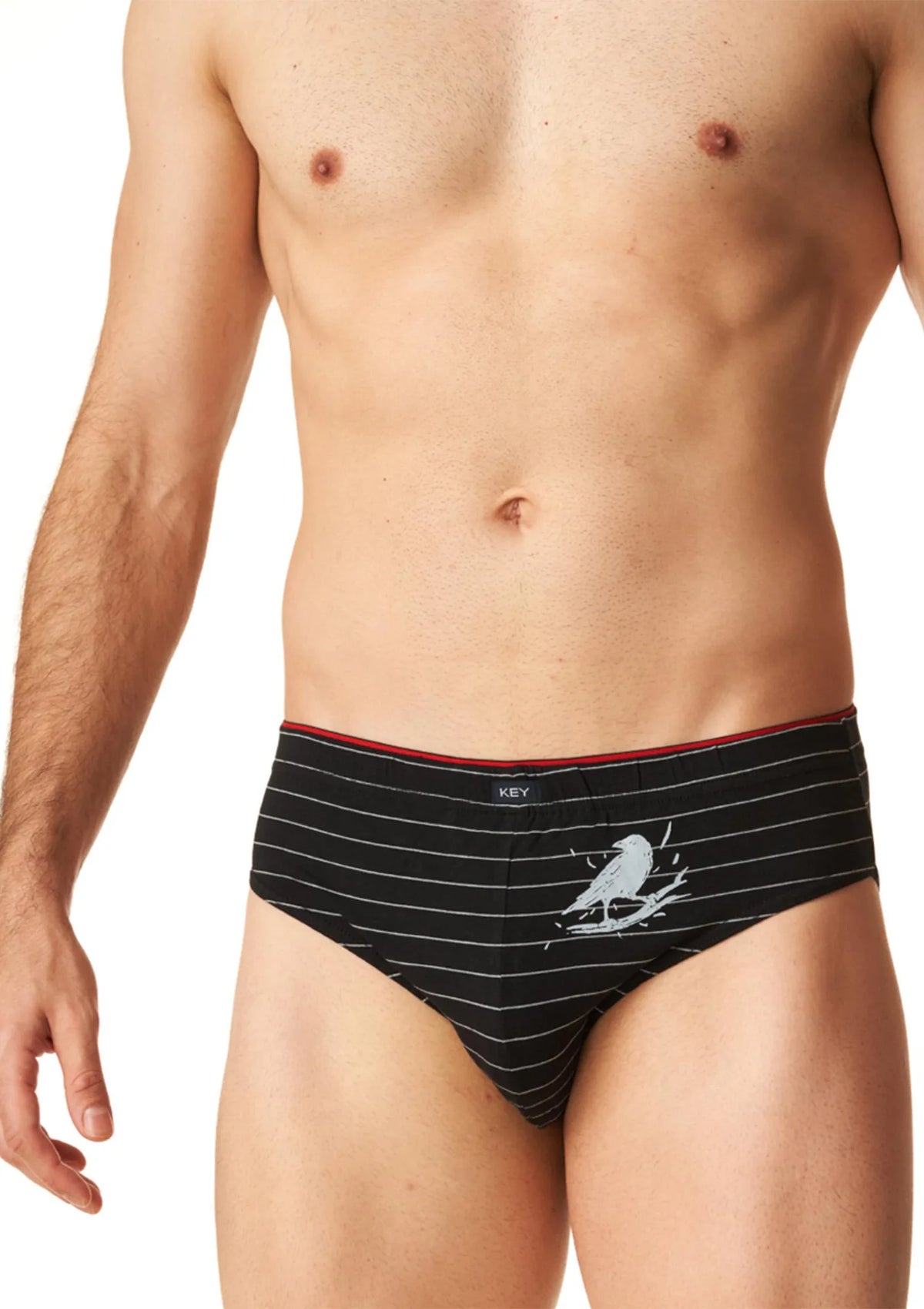 Slipy męskie bawełniane (2 pack) jasne i ciemne w delikatny wzór MPP 400 Key
