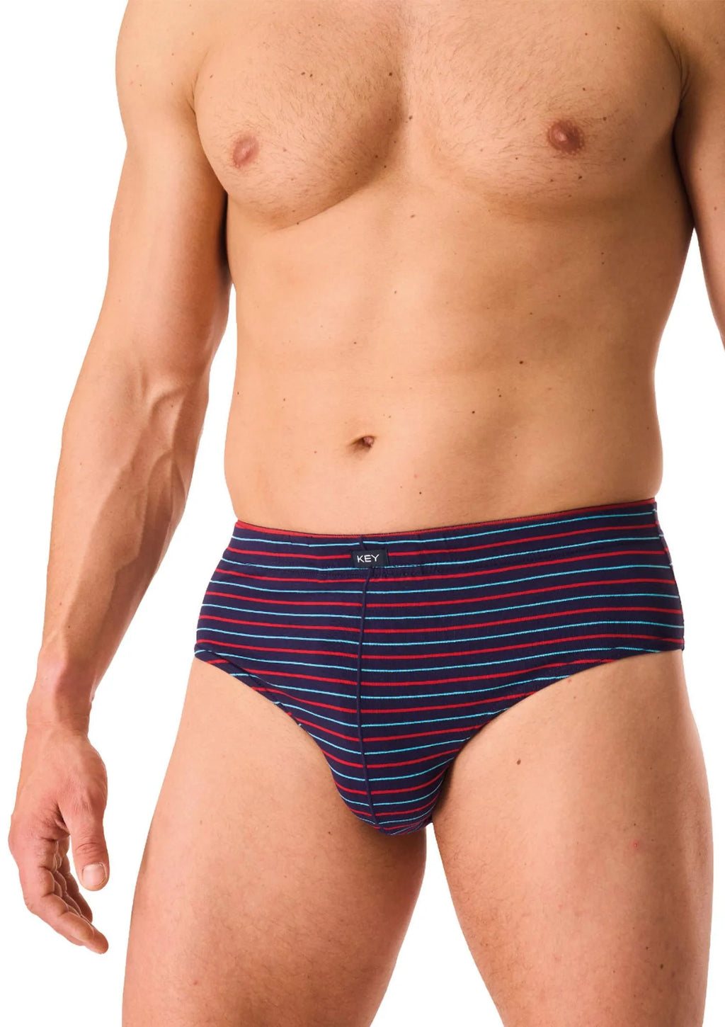 Slipy męskie bawełniane (2pack) klasyczne w drobne paski MPP 325 Key