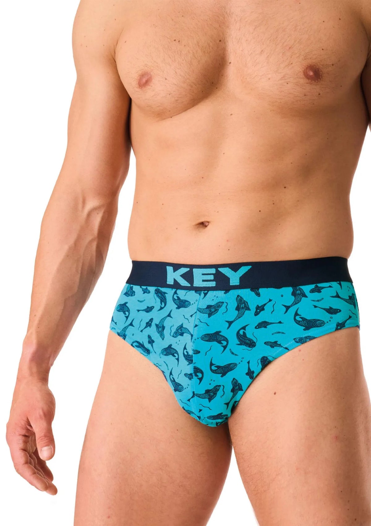 Slipy męskie bawełniane (2pack) w morski wzór MPP 941 Key